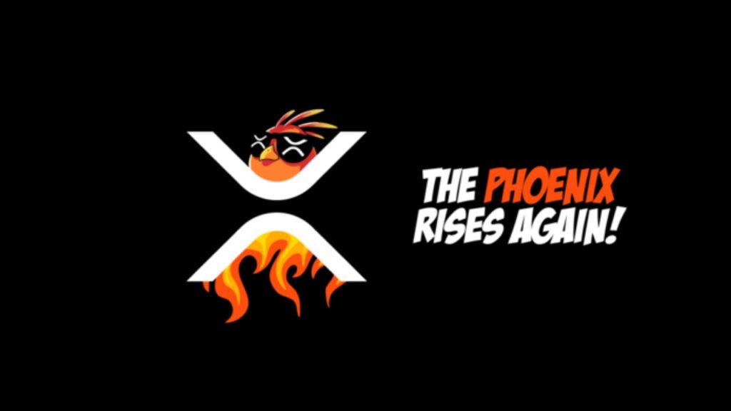 میم کوین فونیکس - یکی از بهترین میم کوین های شبکه ریپل