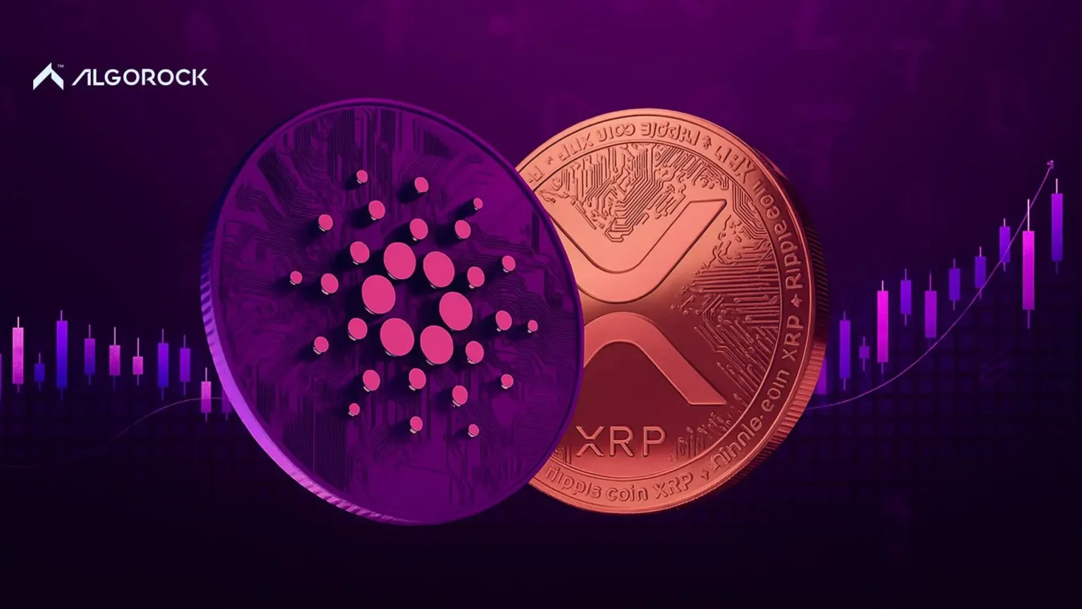 ریپل یا کاردانو