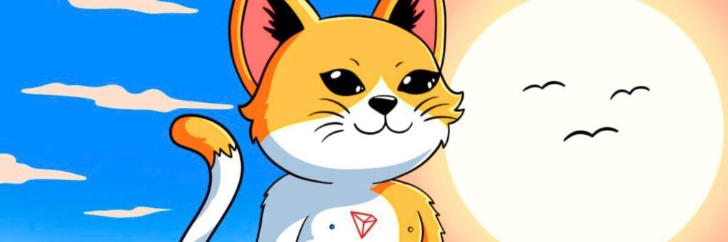 سان کت توکن