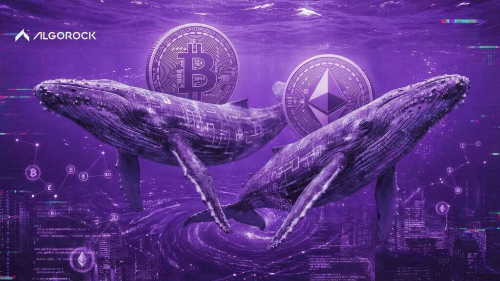 نهنگ های بزرگ ارز دیجیتال کیا هستند