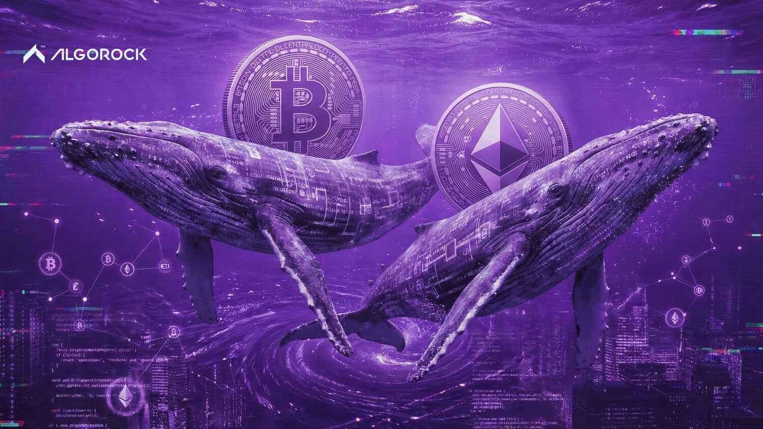 نهنگ های بزرگ ارز دیجیتال کیا هستند