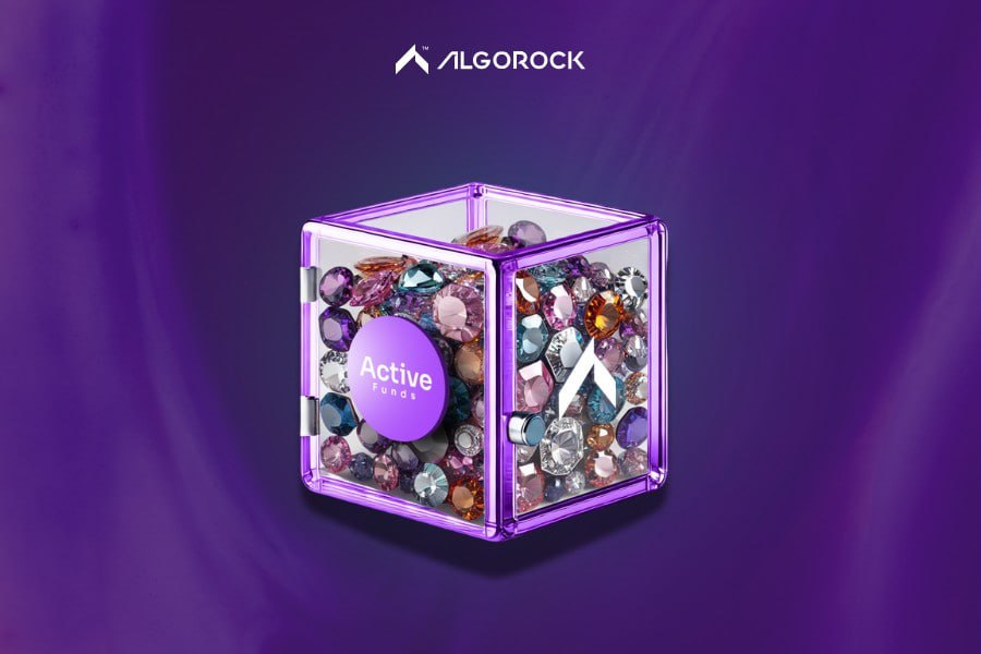 سرمایه گذاری در گنجینه های الگوراک