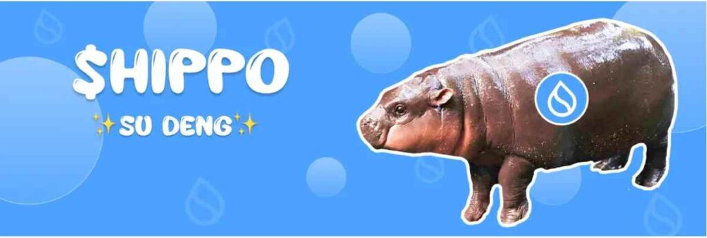 میم کوین های شبکه ی سویی - Hippo