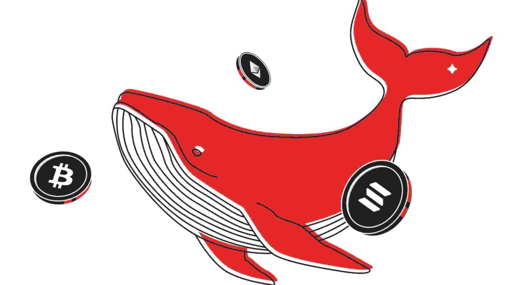 نهنگ در ارز دیجیتال چیست